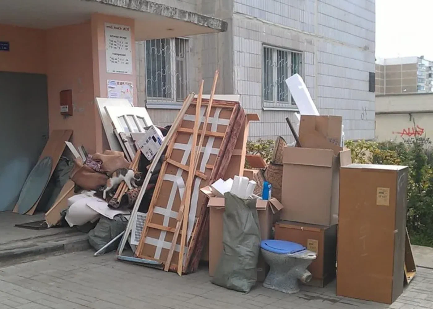 Профессиональный вывоз мусора из квартиры в Ейске в октябре