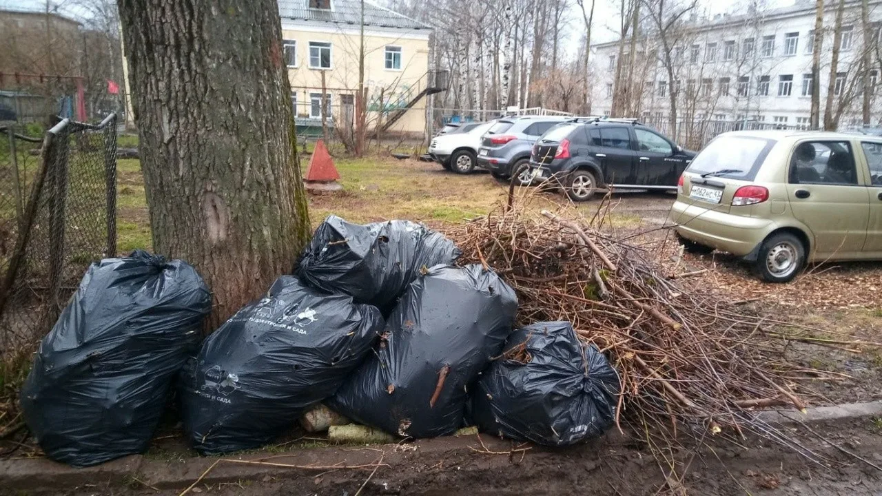 Вывоз мусора после субботника в Ейске от ПроМусор – уборка и утилизация отходов от 2422 руб