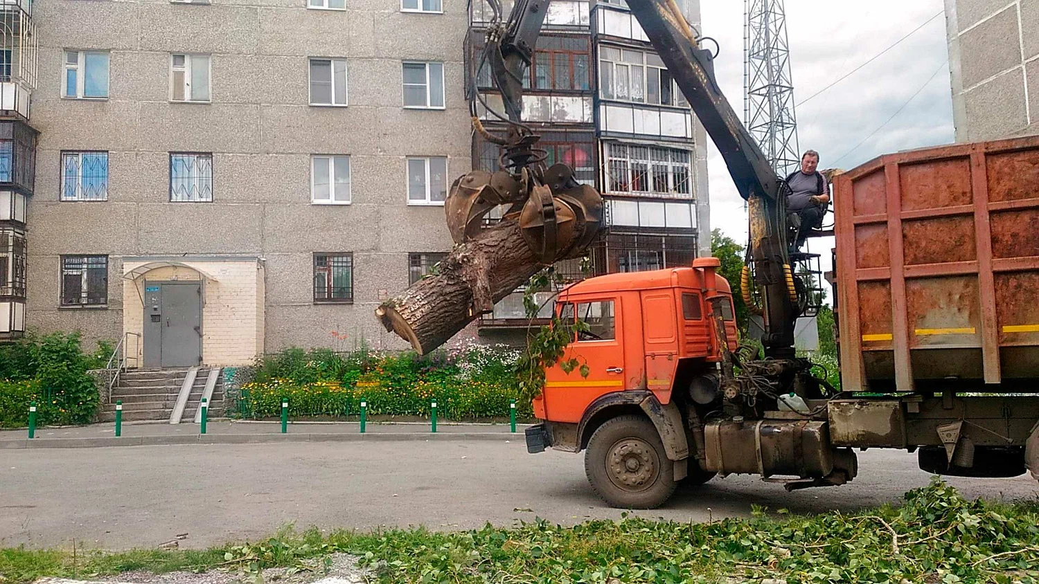Вывоз спиленных веток и деревьев в Ейске от ПроМусор: порубочные остатки, утилизация, цена от 2989 руб
