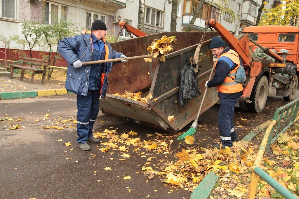 Вывоз опавшей листвы и растительного мусора в Ейске от ПроМусор – цена от 4638 руб., быстрая уборка и утилизация